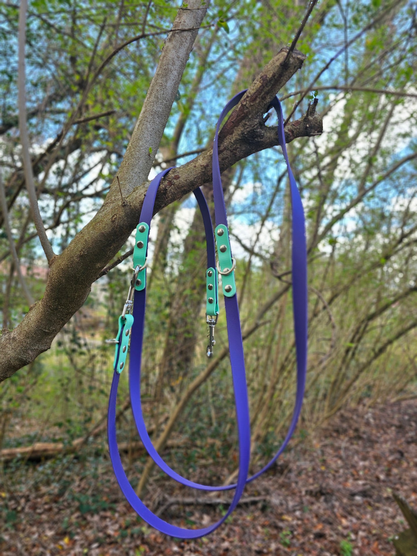 Multi-Way Leash