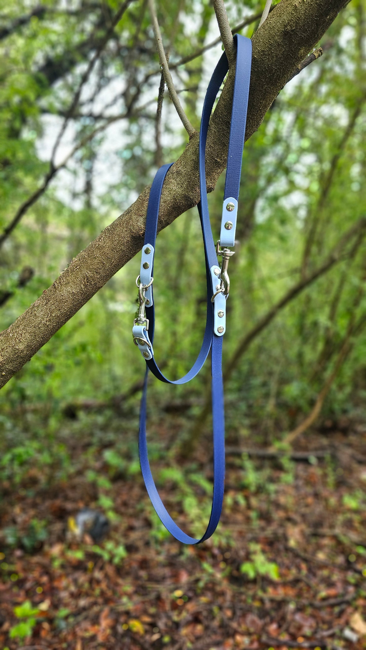 Multi-Way Leash