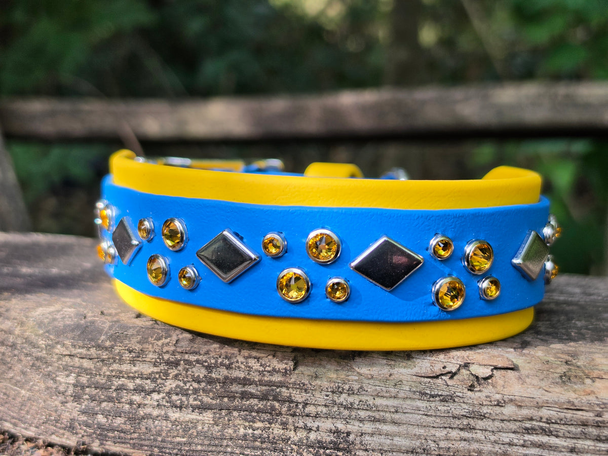 The Roscoe Blue on Yellow 14-18in