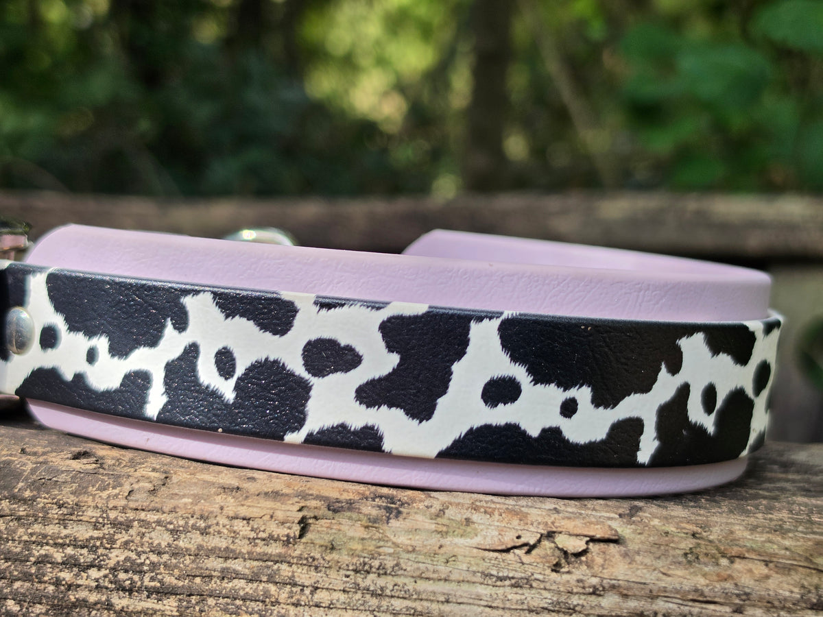 Cowprint on Lavender 15.5-19in
