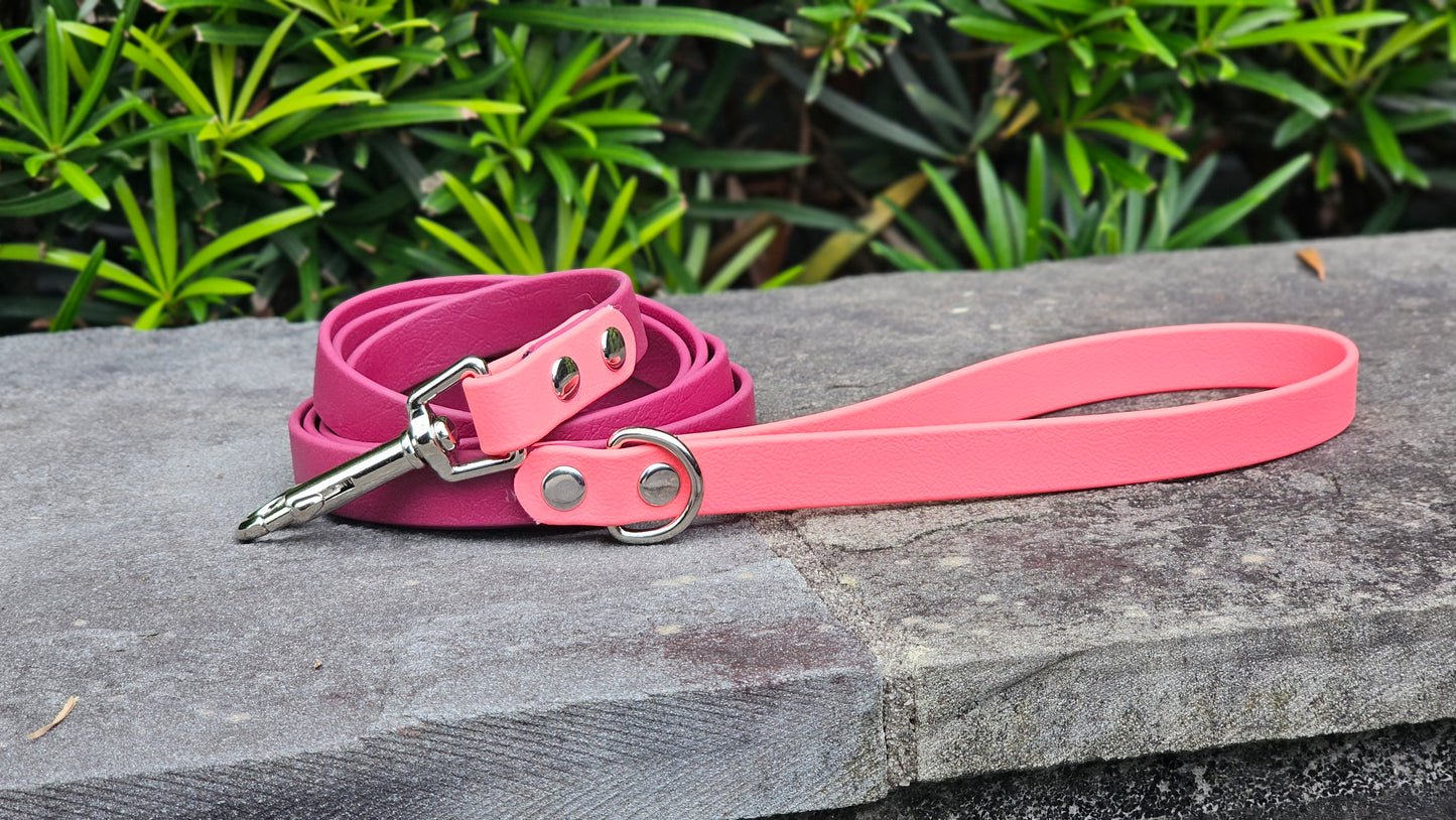 Two Toned Leash