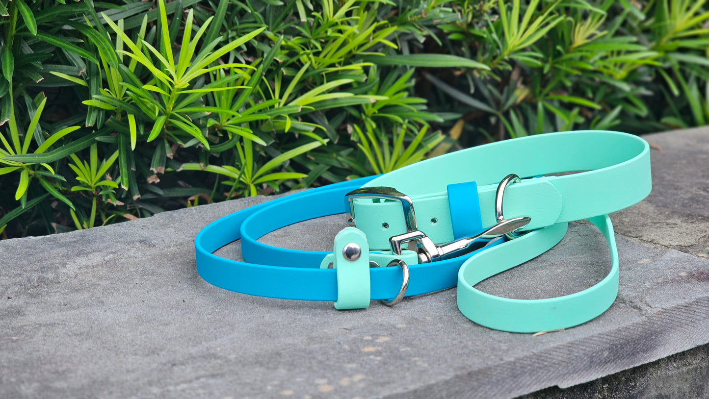 Two Toned Leash