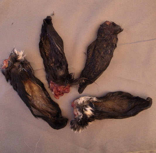 Dehydrated Rabbit Ears
