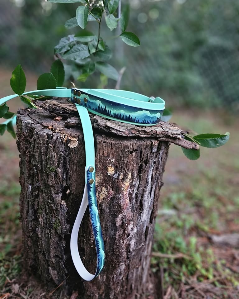 Quick Release Collar and Leash