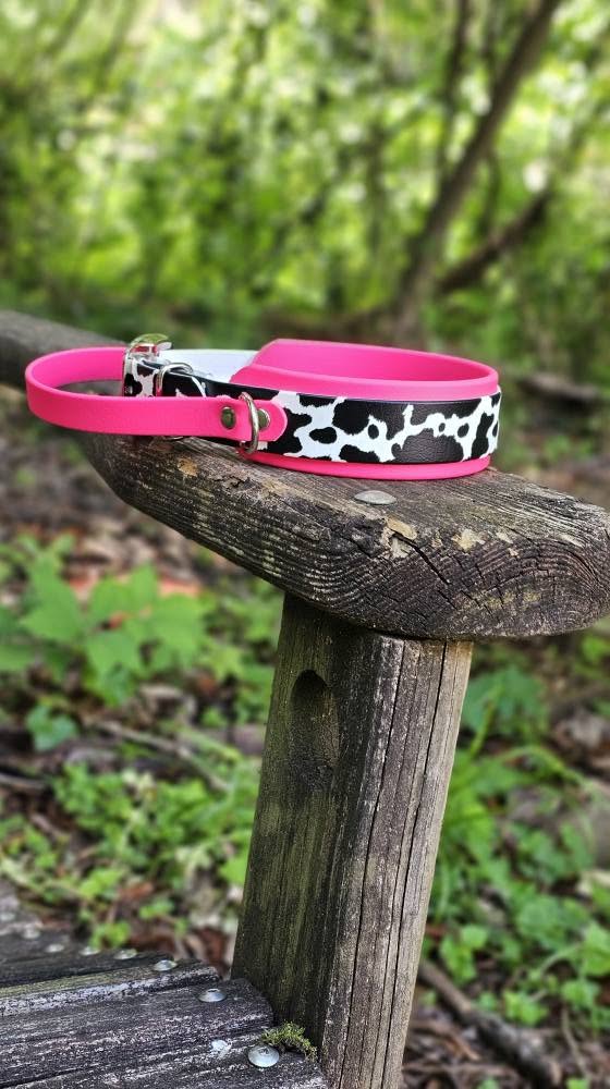 Handled Biothane Collar