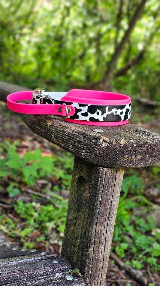 Handled Biothane Collar