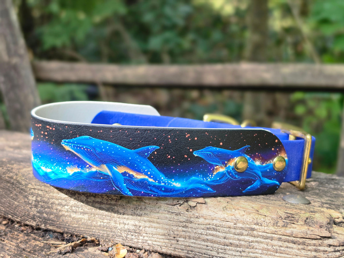 1.5in Whales Reduced with Royal Blue 16-20in